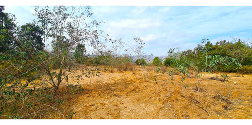 Espectacular Terreno De 10.000m² Hacienda Reñaca