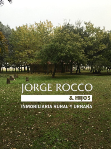 Imagen 3 de 21 de 390 Has. Campo Ganadero A Tranquera Cerrada