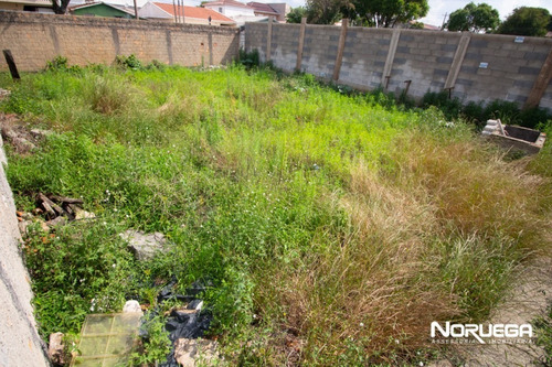 Imagem 4 de 10 de Terreno Para Venda - 11901.001