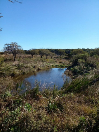 Imagen 9 de 14 de Bustamante Prop Campo Venta San Jose Colon Entre Rios
