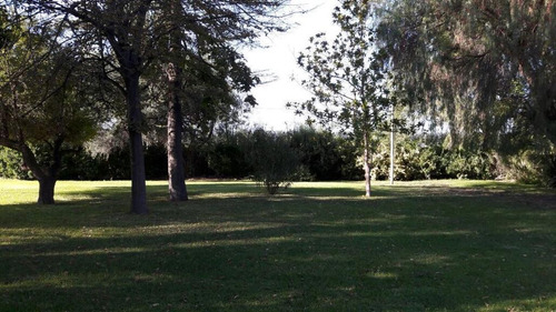 Imagen 22 de 30 de Venta - Finca - Cañada Seca Retasada