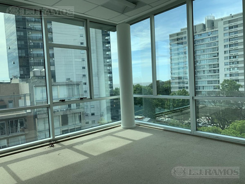 Imagen 11 de 30 de Alquiler De Oficina De 554 M2 En Vicente López