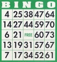 100 Cartones Bingo/bazarjameslapintana