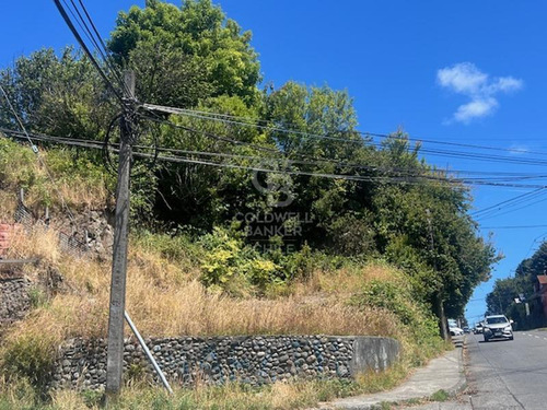 Venta De Sitio Comercial/ Trigal Con Crucero/puerto Montt