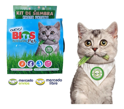 Kit Hierba Gatera Hierba Gatuna Kit De Siembra Completo