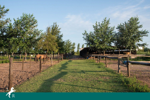 Imagen 9 de 14 de Excelente Lote En La Estancia La Rinconada!!