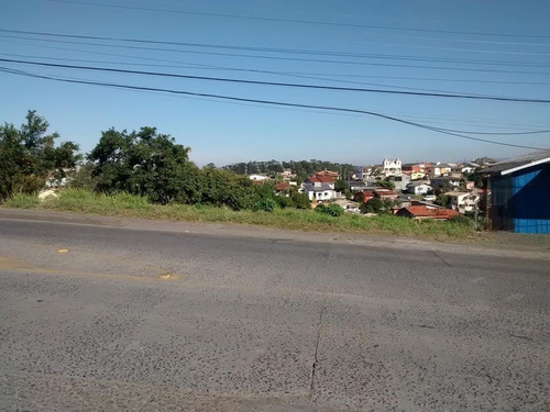 Imagem 1 de 2 de Terreno - Maria Ceu - Ref: 187 - V-187