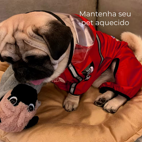 Chubasquero Impermeable Con Capucha Transparente Para Perros