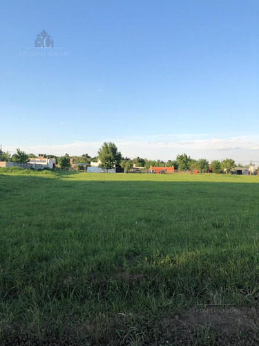 Imagen 7 de 8 de Terreno - Las Tardes