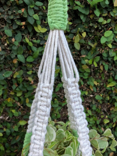 Suporte De Plantas
