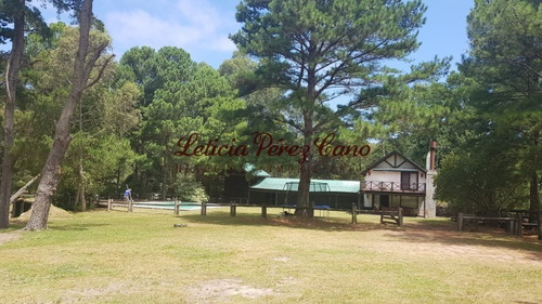 Venta De Chacra En Maldonado, Punta Ballena 5 Has - Ref: 19265