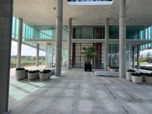 Imagen 4 de 21 de Alquiler De Oficina De 250 M2 En Nordelta