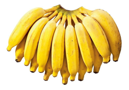 Mudas De Banana Prata E Da Terra 2  Unidades