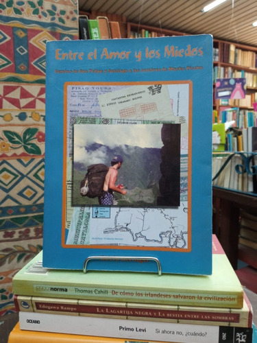 Entre El Amor Y Los Miedos - David Berniger