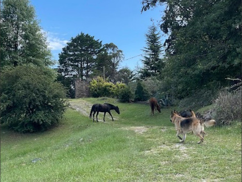 Exclusivo Chalet Privado En Villa Berna- Alquiler Temporal