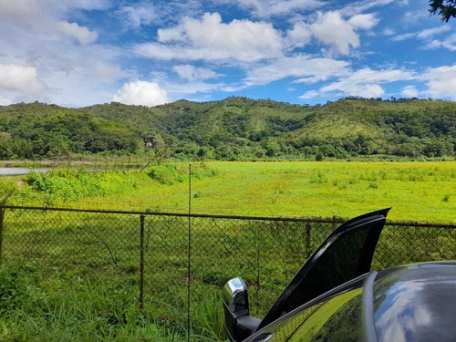 Imagen 10 de 30 de Finca En Guigue, 35 Hectareas. 5610462