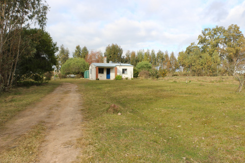 Campo 8,5 Has Con Casa, Galpones Y Tajamares Ruta 7 Km 40