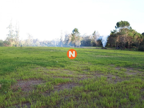 Imagen 2 de 5 de Terreno En En Rincon Del Indio - Punta Del Este - Punta Del Este Rincón Del Indio