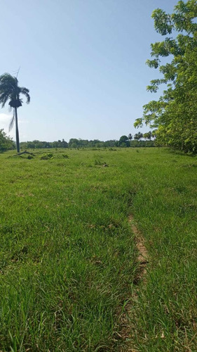 Te Vendo Excelente Finca En Bayaguana Monte Plata 