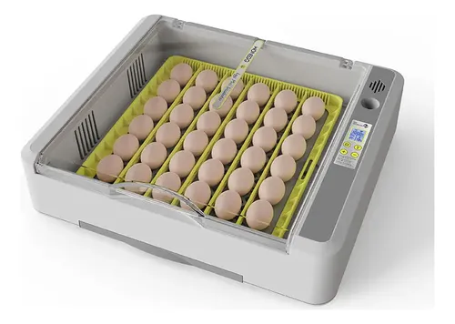 Incubadora Huevos 36 Hhd Cont Automatico Temperatura Volteo