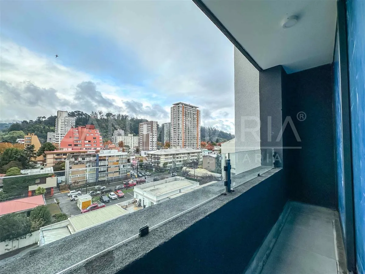 Imagen 4 de 12 de Arriendo Dpto. 1 Dorm. Cerca De Udec En Tucapel, Concepción
