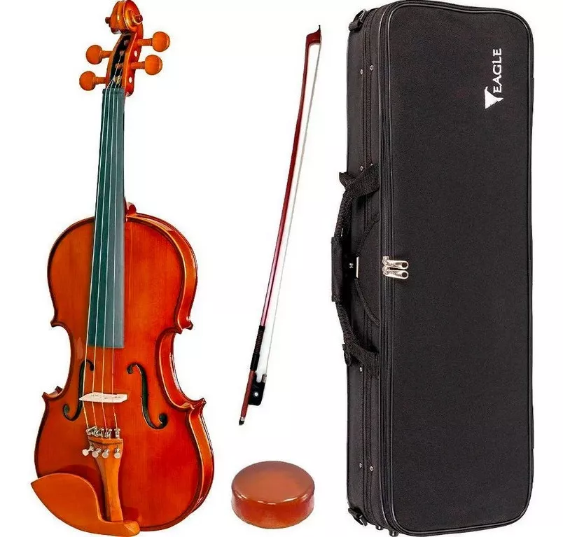 Segunda imagem para pesquisa de violino usado