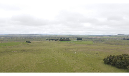 Campo Ganadero En Rocha 350ha (ref: Atm-7301)