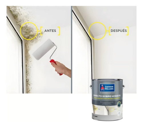 Esmalte Al Agua Sherwin Williams Directo Sobre Hongos 1gl