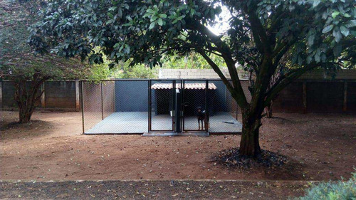 Imagem 7 de 30 de Chácara Com 4 Dorms, Itanhangá Chácaras De Recreio, Ribeirão Preto - R$ 1 Mi, Cod: 1721901 - V1721901