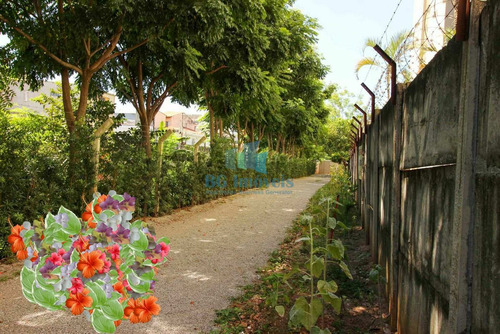 Imagem 28 de 30 de Apartamento 50m² À Venda Com 2 Quartos E 1 Vaga Na Cachoeirinha-sp - Bg21-460