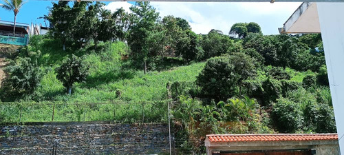 Casa Quinta En El Cafetal