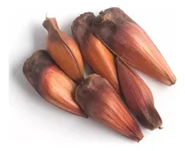 Comprar Piñones De Araucaria Por Kg