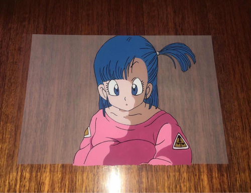 Celda Dragon Ball Pintada A Mano Acrílico Sobre Acetato22x33