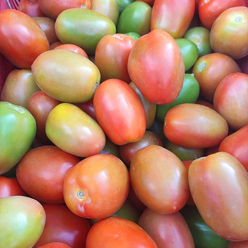 20.000 Sementes Tomate Rasteiro Uso Pro Baixo Custo Produção