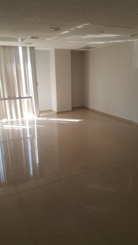 Imagen 4 de 8 de Pent House Para Oficinas En Renta