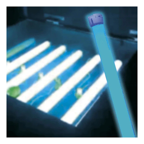 Tubo Fluorescente Luz Negra T5 G5 8w S/filtro Lummi Fl8bl