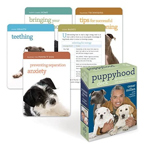 Libro:  Puppyhood Deck: 50 Tips For Raising The Perfect Dog