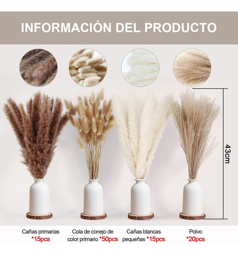 Hi, 100 Pcs Pampas Secas Plantas Decorativas Flores