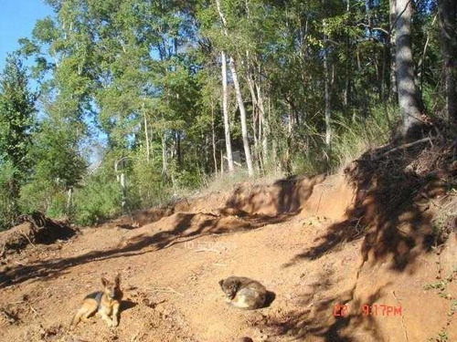 Imagen 11 de 21 de Camino Nonguen S / N , Sector Reserva De Nonguen Concepc...