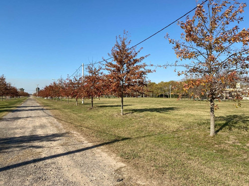 Lote En Barrio Cerrado En Ibarluca - Entrega Y Escritura Inmediata