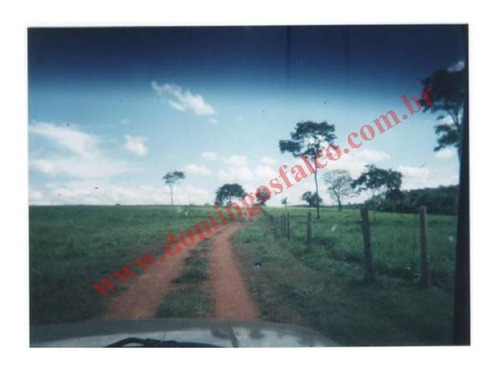 Imagem 3 de 24 de Venda - Fazenda - Zona Rural - Pirapora - Mg - D0342