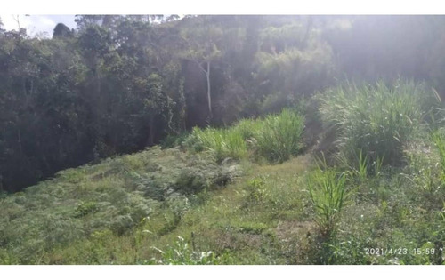 Imagen 10 de 13 de Venta De Lote De Terreno De Cuatro Hectáreas San Diego Carrizal