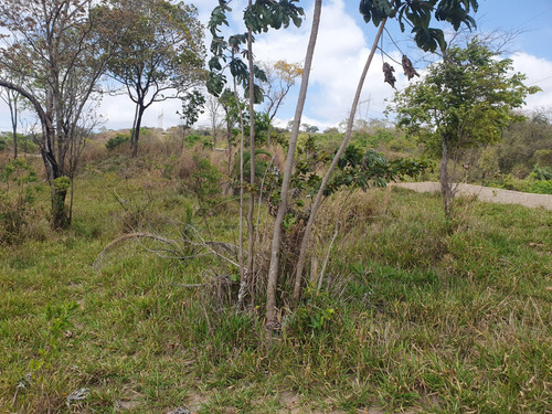 Vendo Lote De 360m2 Barato
