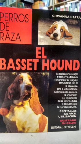 El Basset Hound - Perros De Raza  - Capra  -cn