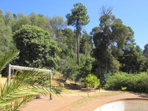 Cauquenes // Viña // Campo Productivo (169679)
