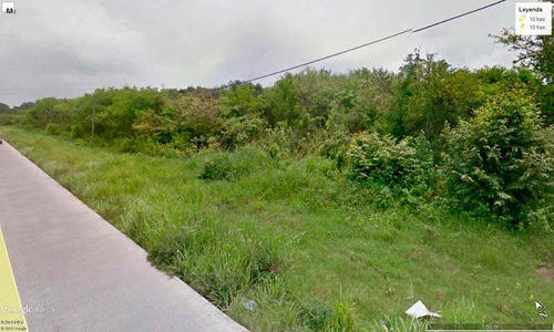 Venta Terreno 10 Hectáreas Carretera Tuxpan - Tamiahua Veracruz