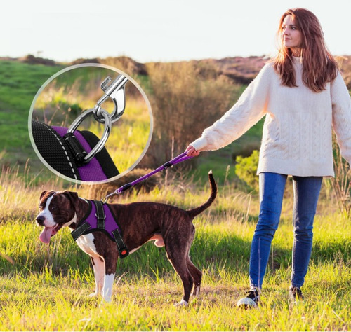 Pretal Arnes Perros Antitirones Broches Y Traba De Seguridad Violeta Xl Liso