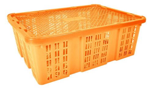 Caja Bambao