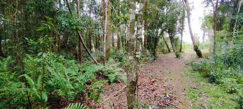 Parcela 5.000mt2 - Casa 5d 4b - 500mt2 - Puerto Varas