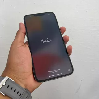 Pantalla iPhone 13 Pro Max Como Nueva Sacada Equipo